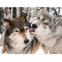 Wolf Animal Diamond Painting Kit