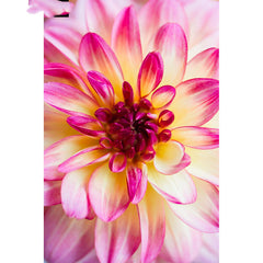 Red and Pink Flowers in Vase Diamond Art