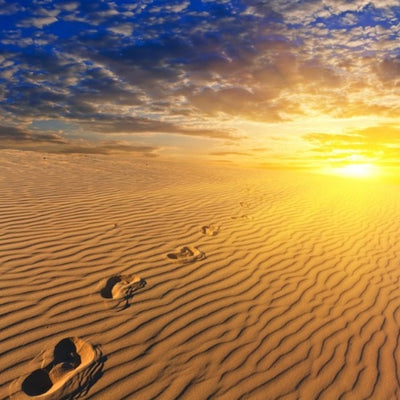 Desert Sunset Diamond Painting Kit
