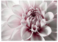 Peony & Rose Diamond Art