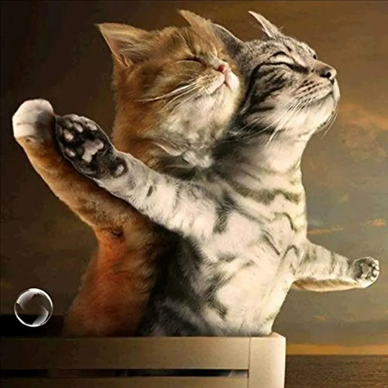 Cozy Cat Diamond Art