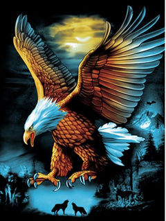 Eagle & Wolf Diamond Art Kit